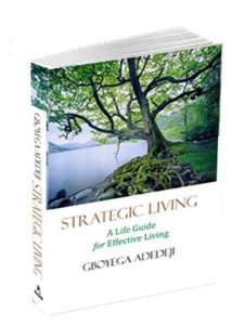 Strategic Living: A Life Guide for Effective Living